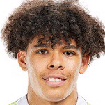 Д. Чилокоа-Маллен