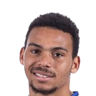 Д. Фигуредо