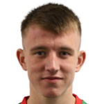 Д. Маккарти