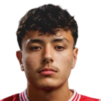 Д. Мирхольц