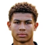 Дж. Паулина