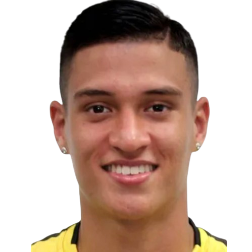 Ж. Портилла