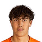 Джона те Фрухте