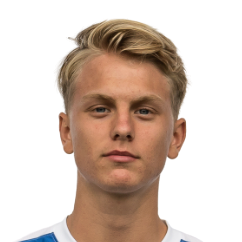 Ян van Diermen