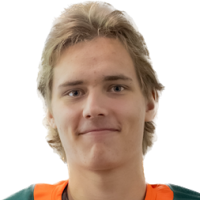 Вильями Jokirinne