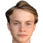 Кристиан Фредрик Мальт Арнстад