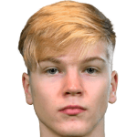 К. Паананен