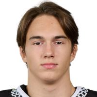 Владислав Хомицкий