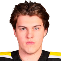 Марк Козырев