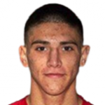 Л. Амброхио