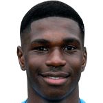 Луик Денис Анри Айина