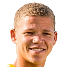 Л. Баартман