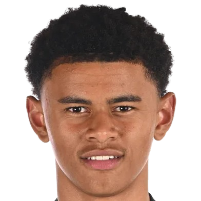 Лукка Бругманс