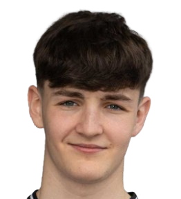 Л. МакКормик