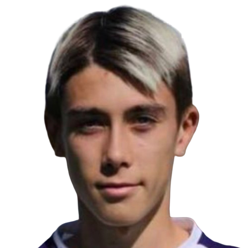 Люка Минкарелли