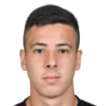 Л. Палмисани