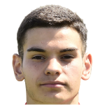 Л. Стойсавлевич