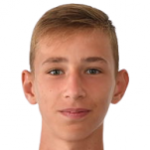 Ловро Звонарек