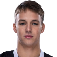 Владислав Ларичев