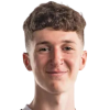Ле Ланн М.