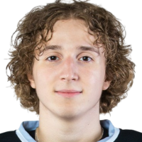 Степан Левицкий