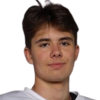 Lipiansky L.