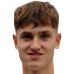 Николас Брандис