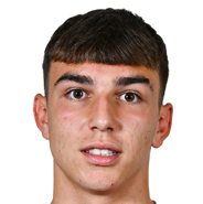 М. Цветкович