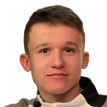 М. Иленчич
