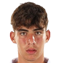 Матей Кристиан Илие