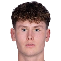 Матиас Йохан Фьёртофт Лёвик