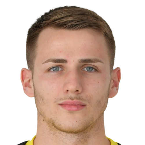 М. Младенович