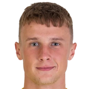Михал Минарж