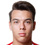 М. Нейчутеску