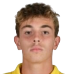 М. Раффаэлли