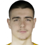 М. Шахинович