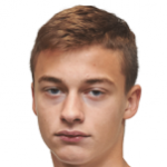 Н. Спасойевич