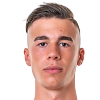 М. Стеванович