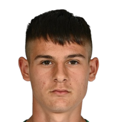Михаил Златев Цонев