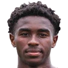 Майкл Чибуйкем Удебулузор