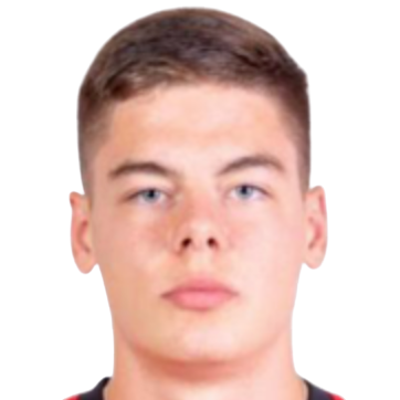 М. Веденеев