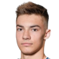 М. Зивкович