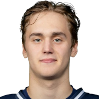 Никита Максимов