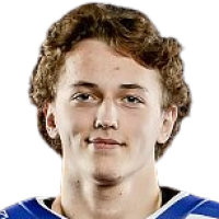 Василий Metelev