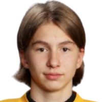 Виктор Mikonsaari