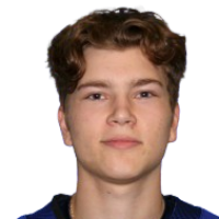 Адриан Misaljevic