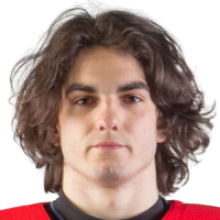 Игорь Митрович