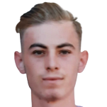 Мухаммед Эмин Эргин