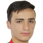 Мухлис Истеми
