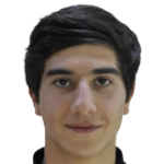 Н. Алавердян